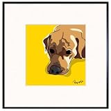 Paper Russells PAFR551 Limited Framed Print, 8x8 Inch - Yellow Lab Laying down