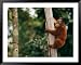 A Bornean Orangutan Baby National Geographic Collection Framed Art Poster Print by Roy Toft, 49x39