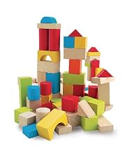 Wooden building bricks