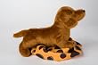 Dilly Dachshund Dog Plush Toy 8"