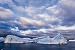 ANTARCTIC  - Life in the Polar Regions