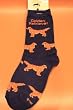 Golden Retriever Dog Adult Poses Socks - (Blue)
