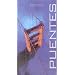 Puentes/bridges (Spanish Edition)