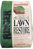 Woodstream #9328 5M Ringer Lawn Restore