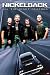Nickelback ~ All the Right Reasons ~ Group Poster ~ Approx 22 X 34 Inches