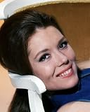 THE AVENGERS DIANA RIGG 24X36 POSTER PRINT