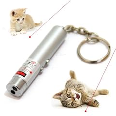 Mini Laser Schl�sselanh�nger ideales Katzenspielzeug Katzentrainer Laserpointer Rot 2in1 inkl. LED Lampe Batterien inklusive!
