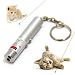 Mini Laser Schl�sselanh�nger ideales Katzenspielzeug Katzentrainer Laserpointer Rot 2in1 inkl. LED Lampe Batterien inklusive!