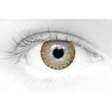 Eye Spy Daily Contact Lenses Brown