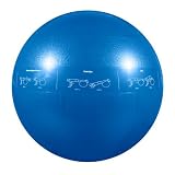 GoFit 2000 lb. Professional Grade Core Stability Ball