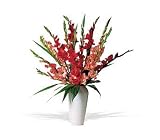 Orange and Red Flowers Bouquet Glorious Gladioli