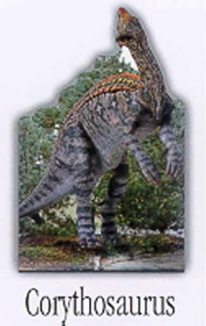 corythosaurus dinosaur board books