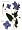 Botanical Garden Volume II: Perennials and Annuals: Perennials and Annuals Vol 2