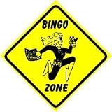 BINGO ZONE sign * street party game fun