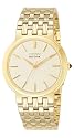 Citizen Mens Eco-Drive Watch BP5002-50P