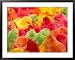 Colourful Chicks for Sale at Qingping Market, Guangzhou, China Lonely Planet Collection Framed Art Poster Print by Juliet Coombe, 39x31