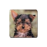 Yorkshire Terrier Yorkie Rubber Square Coaster (4 pack)