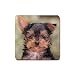 Yorkshire Terrier Yorkie Rubber Square Coaster (4 pack)