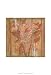 Woven Whimsey I - Jennifer Goldberger Art Print Poster 13 x 19