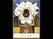 Woman Of Tehuantepec by Fernando Diaz - Fine Art Print / Poster - 24.00 x 36.00