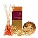 Ilio Fragrances-model:n4000