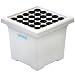 Botanicare HSCL25 25 Plant Clone Machine