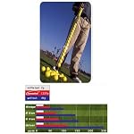 AlmostGolf - AlmostGolfball Stick 2dz Yellow