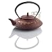 Teavana Prosperity Koi Cast Iron Teapot