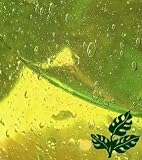 Shampoo to Remove Build-Up