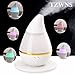 Tzwns 250ml Cool Mist Humidifier Timer Settings LED Rainbow Color Auto-Changing Mode 8 Hours Continous Mist Mode Running Auto Shut off Suitable for Yoga Spa Bedroom Living Room Office