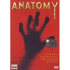 Anatomy
