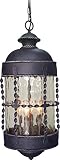 Volume Lighting V8162-48 4-Light Outdoor Pendant, Blacksmithy [並行輸入品]