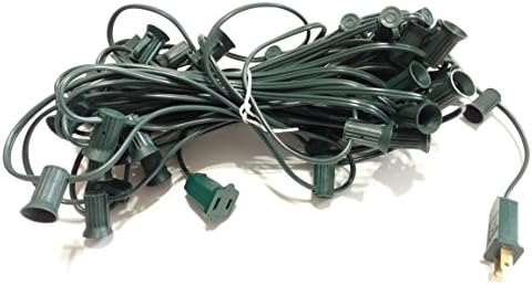 50' Outdoors Globe String 50 Lights - String Only (50)