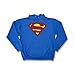 Superman Classic Adult Logo Hoodie