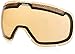 Dragon Alliance Rogue Snow Goggles