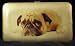 Designer Dog Wallet - Hard Case Padded Pug Wallet
