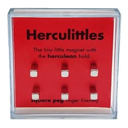 Square Peg Magnets - 6 Pack by Herculittles