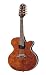 Crafter Electro-Acoustic Mandolin in Bubinga (with padded bag)