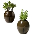 Grobal Self Watering Pots - Earth