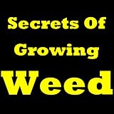 related product Secrets Of Growing Weed! Learn How to Grow Weed Indoors, How to Grow Cannabis And How To Grow Marijuana (Same Thing). Find Out The Easiest Way For Growing Marijuana And Growing Cannabis!