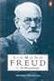 On Metapsychology - the Theory of Psychoanalysis (Penguin Freud Library)