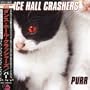Purr