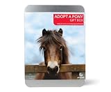 Gift Republic , Adopt A Pony Gift Box