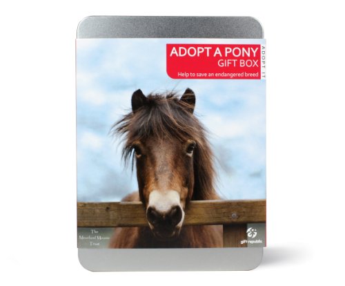 Gift Republic , Adopt A Pony Gift Box