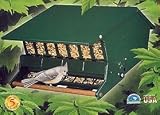 Birds Buffet Squirrel Proof Bird Feeder - Up to 10 lb.
