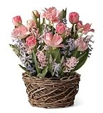 Spring Bulb Garden 5 Tulips, 3 Hyacinths. 2 Narcissus