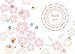 CR Gibson Eight Thank You Notes, China Doll (Pack of 3)