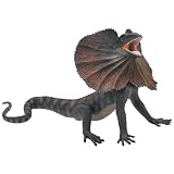 IncredibleCreatures-FrilledLizard
