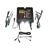 BatteryMINDer Battery Charger / Maintainer with Desulphator - 12 Volt 2/4/8 Amp, Model# 12248