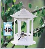 Garden Gazebo